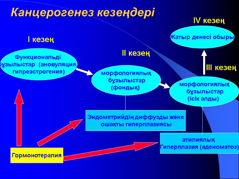 Канцерогенез кезеңдері I кезең Функциональді  бұзылыстар  (ановуляция,  гипреэстрогения) Гормонотерапия II кезең